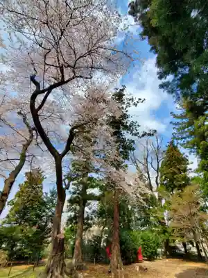 神炊館神社 ⁂奥州須賀川総鎮守⁂(福島県)