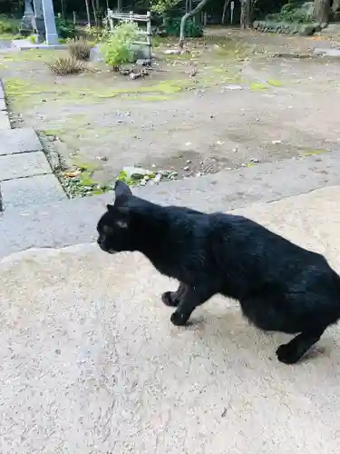 蚶満寺(秋田県)