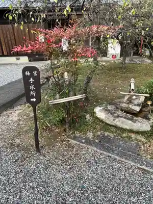 梅宮神社の手水舎