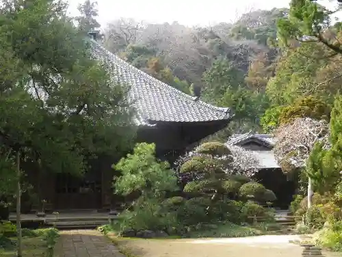 寿福寺の本殿・本堂