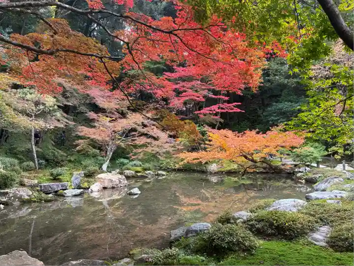 南禅院(京都府)