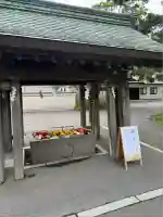 亀田八幡宮(北海道)