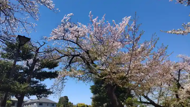 延命院の御朱印