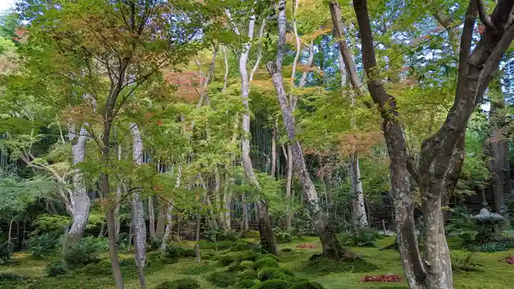 祇王寺(京都府)