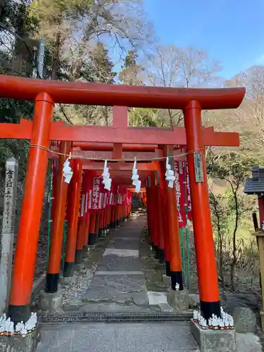 佐助稲荷神社の鳥居