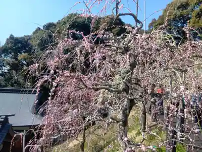 大縣神社(愛知県)