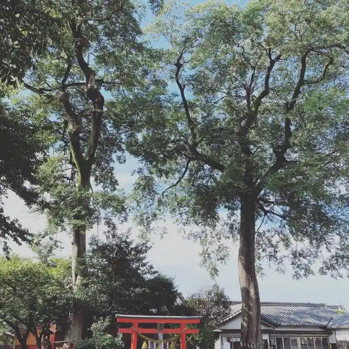 神館飯野高市本多神社(三重県)