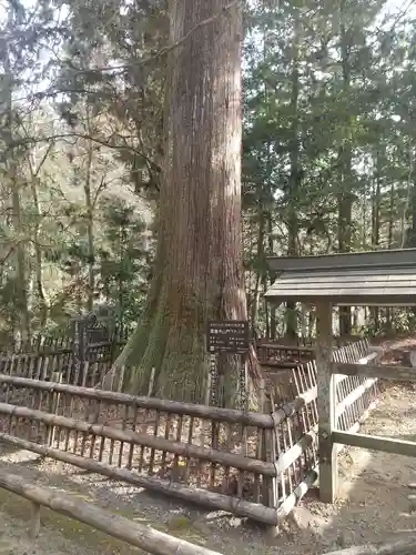 雲巌寺(栃木県)