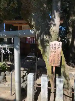 伊勢神社のその他建物