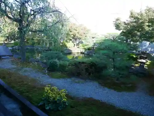 東寺（教王護国寺）の庭園