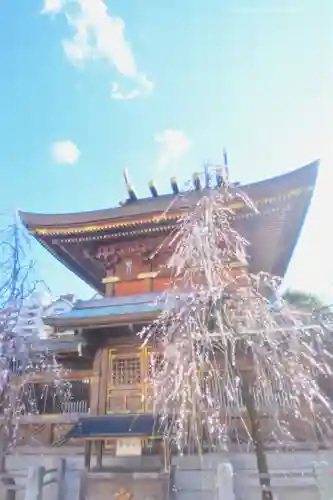 湯島天満宮(東京都)