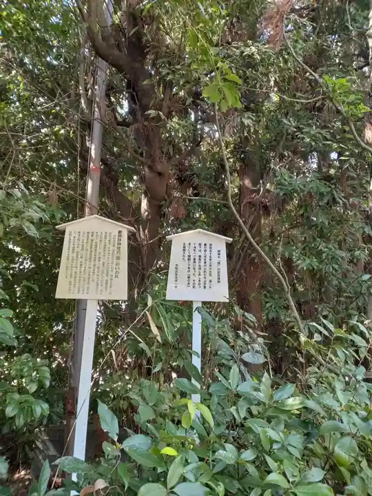 新熊野神社(京都府)