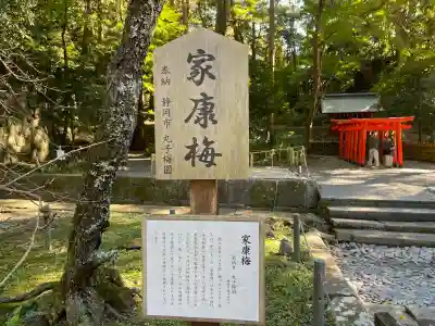 久能山東照宮(静岡県)