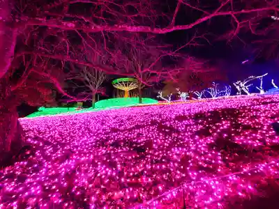 長谷寺(神奈川県)