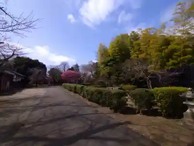 南蔵院のその他建物