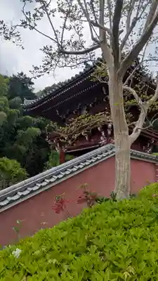 當麻寺奥院(奈良県)