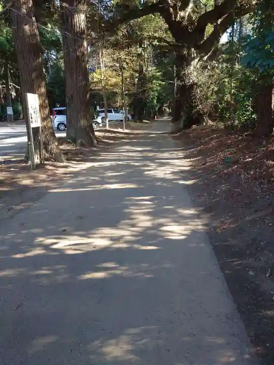 縣神社(千葉県)
