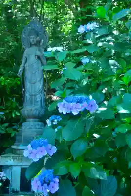 高幡不動尊　金剛寺(東京都)