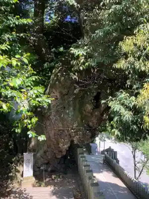 楽法寺（雨引観音）(茨城県)