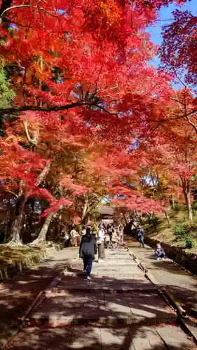 毘沙門堂門跡(京都府)