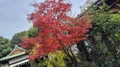 賀茂波爾神社（賀茂御祖神社境外摂社）(京都府)