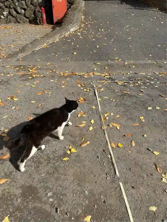 奥氷川神社(東京都)