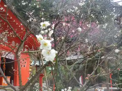 荏柄天神社のその他建物