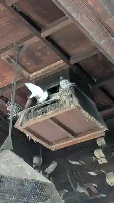 頂法寺（六角堂）(京都府)