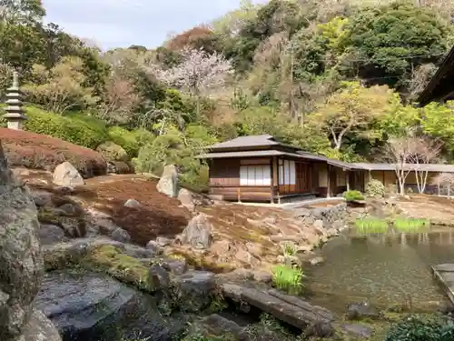 海蔵寺の庭園