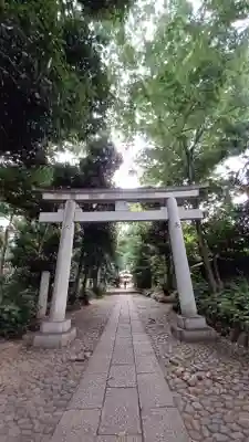 代々木八幡宮の鳥居