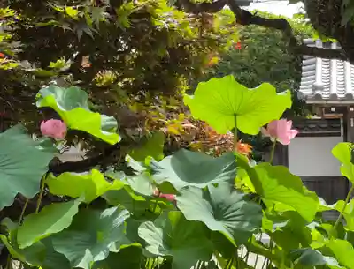 梅香寺(三重県)