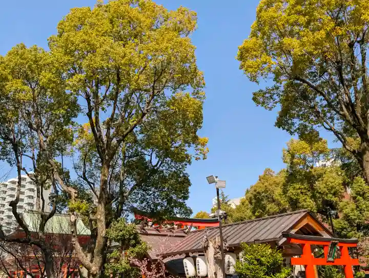 生田神社の{uncategorized: "未分類", other: "その他", undefined: "問題あり", building: "その他建物", grave: "お墓", sacred_gate: "鳥居", guardian: "狛犬", statue: "像", buddha: "仏像", history: "歴史", nature: "自然", garden: "庭園", animal: "動物", pagoda: "塔", temizu: "手水舎", mountain_gate: "山門・神門", sanctuary: "本殿・本堂", subordinate: "末社・摂社", art: "芸術", scenery: "景色", jizo: "地蔵", ema: "絵馬", goshuin: "御朱印", omikuji: "おみくじ", items: "授与品その他", amulet: "お守り", goshuincho: "御朱印帳", eats: "食事", festival: "お祭り", votive_dance: "神楽", shichigosan: "七五三参", wedding: "結婚式", experience: "体験その他", initially: "初詣", around: "周辺", anti_infection: "感染症対策"}