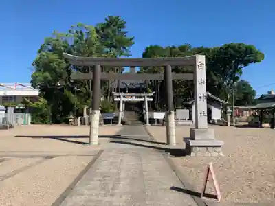 白山神社（小幡）の鳥居