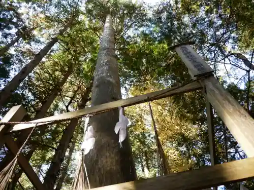 矢彦神社のその他建物