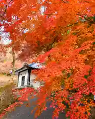 普門寺(切り絵御朱印発祥の寺)の自然