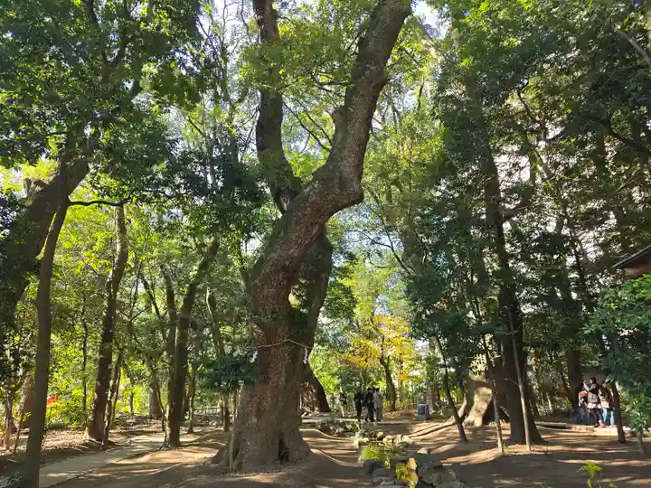 生田神社(兵庫県)