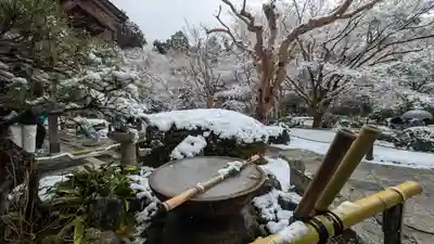 圓光寺(京都府)