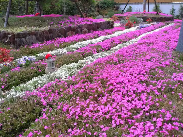 寿量山 速成寺の自然