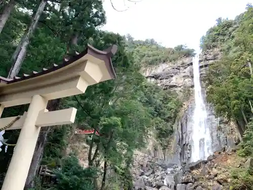 飛瀧神社（熊野那智大社別宮）の自然