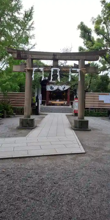 稲毛神社の鳥居