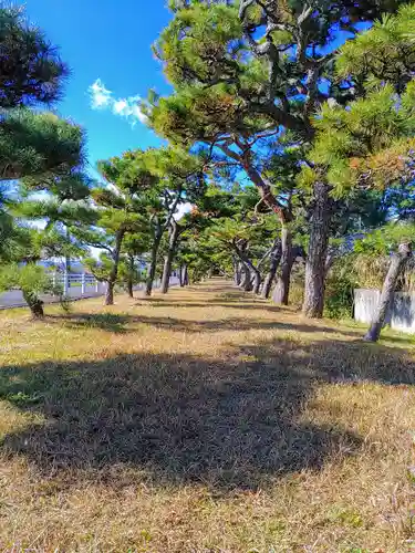 鞆江神社（明地）の自然