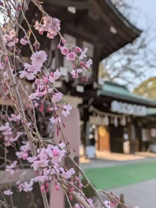 大宮八幡宮(東京都)