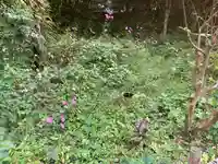 黄梅院(円覚寺塔頭)(神奈川県)