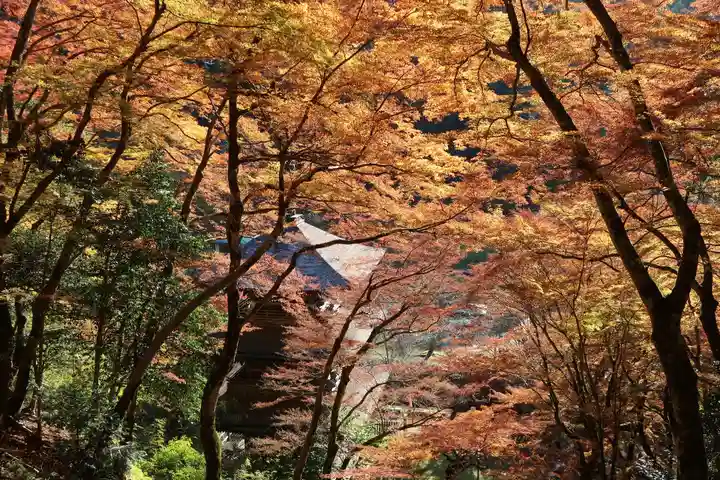 金剛院(京都府)