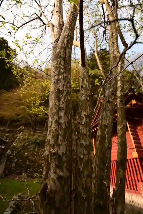 談山神社(奈良県)