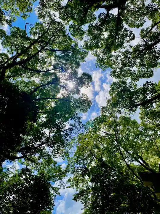 筥崎宮(福岡県)