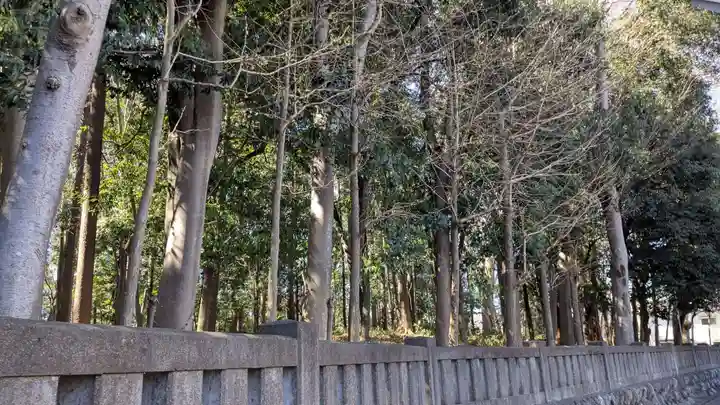 秩父神社の自然