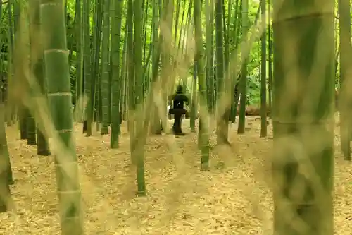 報国寺(神奈川県)