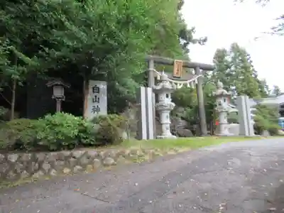 白山神社(東京都)