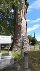 豊龍神社(山形県)